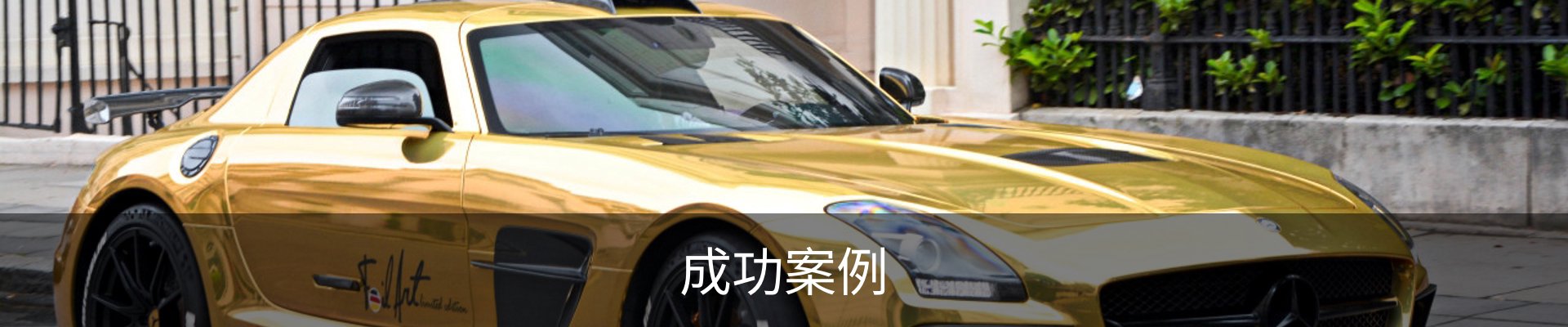 成功案例